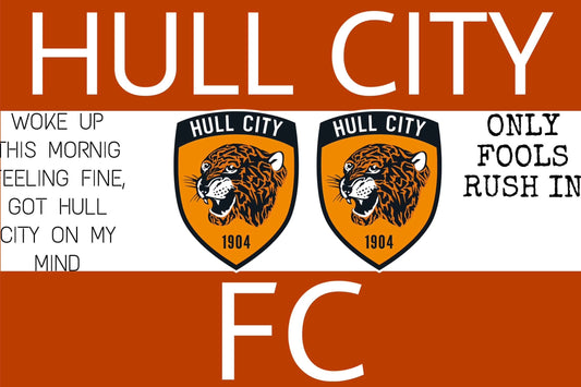 Hull City 24/25 SPECIAL STICKER